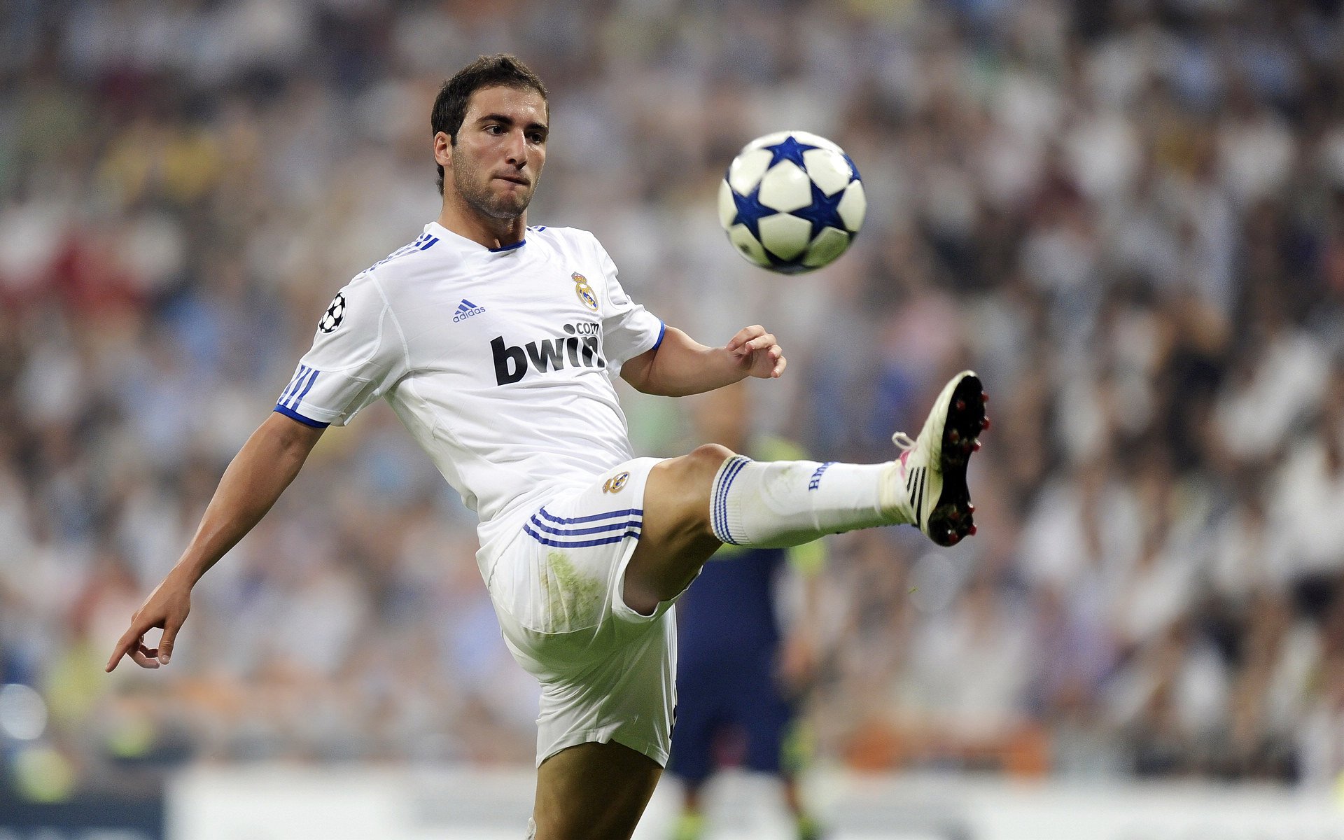 KPL鸟巢门票秒空玩家排队抢票场面堪比演唱会，英雄联盟鸟巢比赛门票多少钱